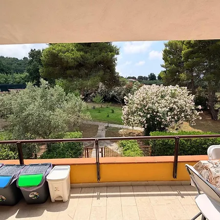 Consoli - Le Palme Appartement *